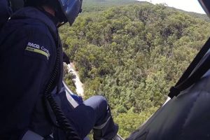 Climber Winched From Bush