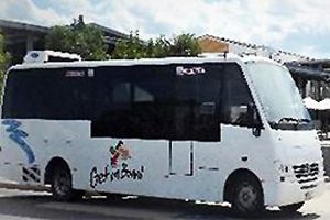 Town Bus Service To End