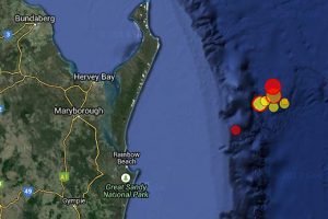 More Quakes Rattle Coast