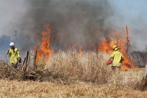 Dry Soils Increase Risk Of Fires