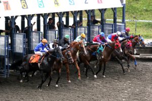 A Novice’s Guide To A Day At The Races