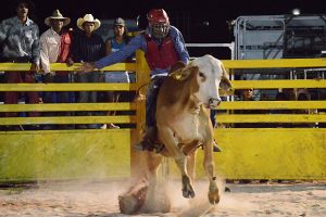 See In The New Year At Goomeri!