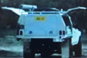 Have You Seen David?