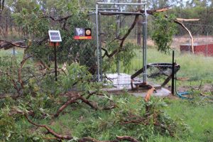 Storms Black Out 10,000 Homes