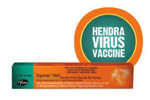 Inquiry Into Hendra Vaccine