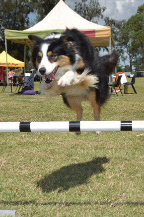 20160319 Healthy Life Expo