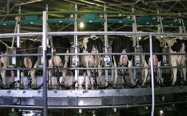 Farmers ‘Expected’ Closure