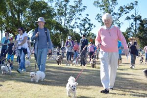 Bookings Open For Paws Walk