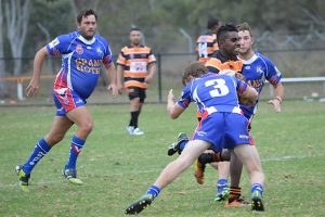 Cherbourg Hunts Down ‘Roos