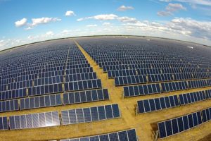New Guidelines For Solar Farms
