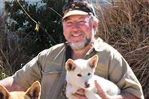 Dingo Sanctuary Seeks Support