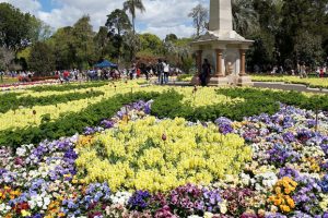 Toowoomba To Stay In Tourism Group