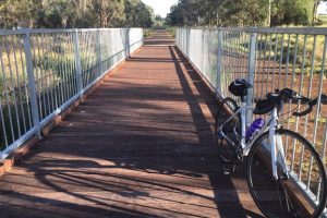 Council Sets Up Rail Trail Committee