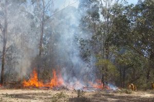 Another Bushfire At Taromeo