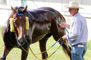 Locals Galore To Cheer For At Wondai