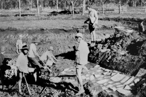 Apex Dream Came True 40 Years Ago