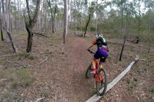 Cycling Trails Get Go-Ahead