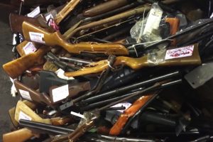 Police Seize 869 Firearms