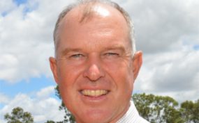 Dairy Industry Launches Plan