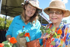 Garden Expo Blooms In Sunshine