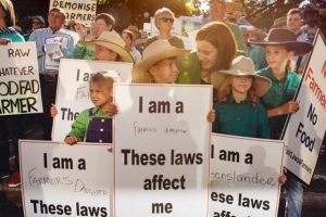 Angry Response To Labor’s Tree Laws