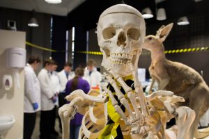 Local Students Trial Science Courses
