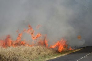 South Nanango Fire Under Control