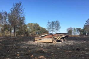 More Than 290 Fires Across State