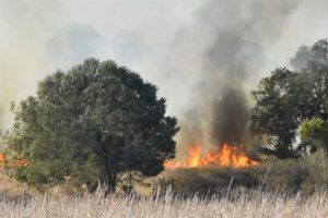 Warning To Get Fire Permits