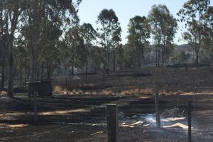 Woolooga Fire: Alert Updated