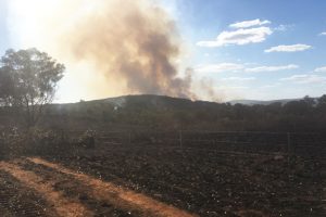 Nanango Fires ‘Suspicious”