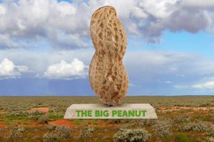 Vote Now For The Big Peanut!