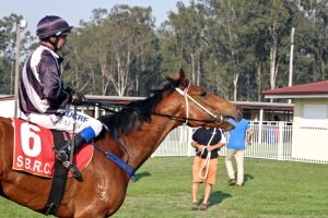 Horse’s Name Revives Anzac Memories