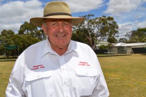 Croquet Has Become A Big Hit