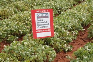 GRDC Shifts Events Online