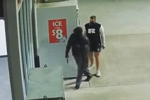 Police Hunt Would-Be Thieves