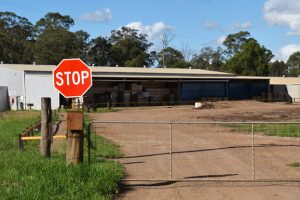 Mystery Over Sawmill Closure