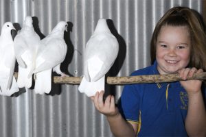 Penny’s Pigeons Primed For Big Day