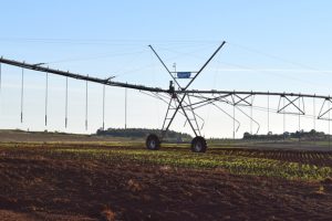 Irrigators Face 46pc Rise
