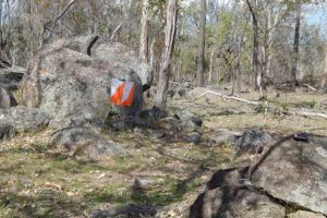 Orienteers Trekking To Kingaroy