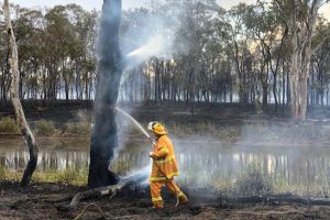 Local Fire Bans Extended