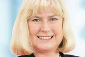Inquiry Into Council Complaints