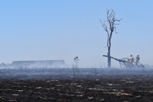 QFES Declares Fire Emergency