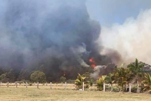 Bushfire Burns Near Kingaroy Homes