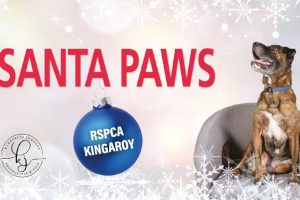 Santa Paws Coming To RSPCA