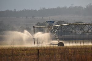 Another Survey For Irrigators