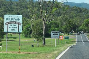 Cattle Truck Overturns