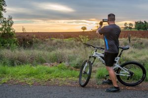 Virus Helps Solve Rail Trail Puzzle