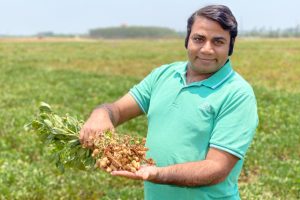 Scientists Solve Peanut Riddle