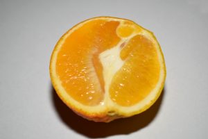 Our Odd Orange … The Taste Test!
